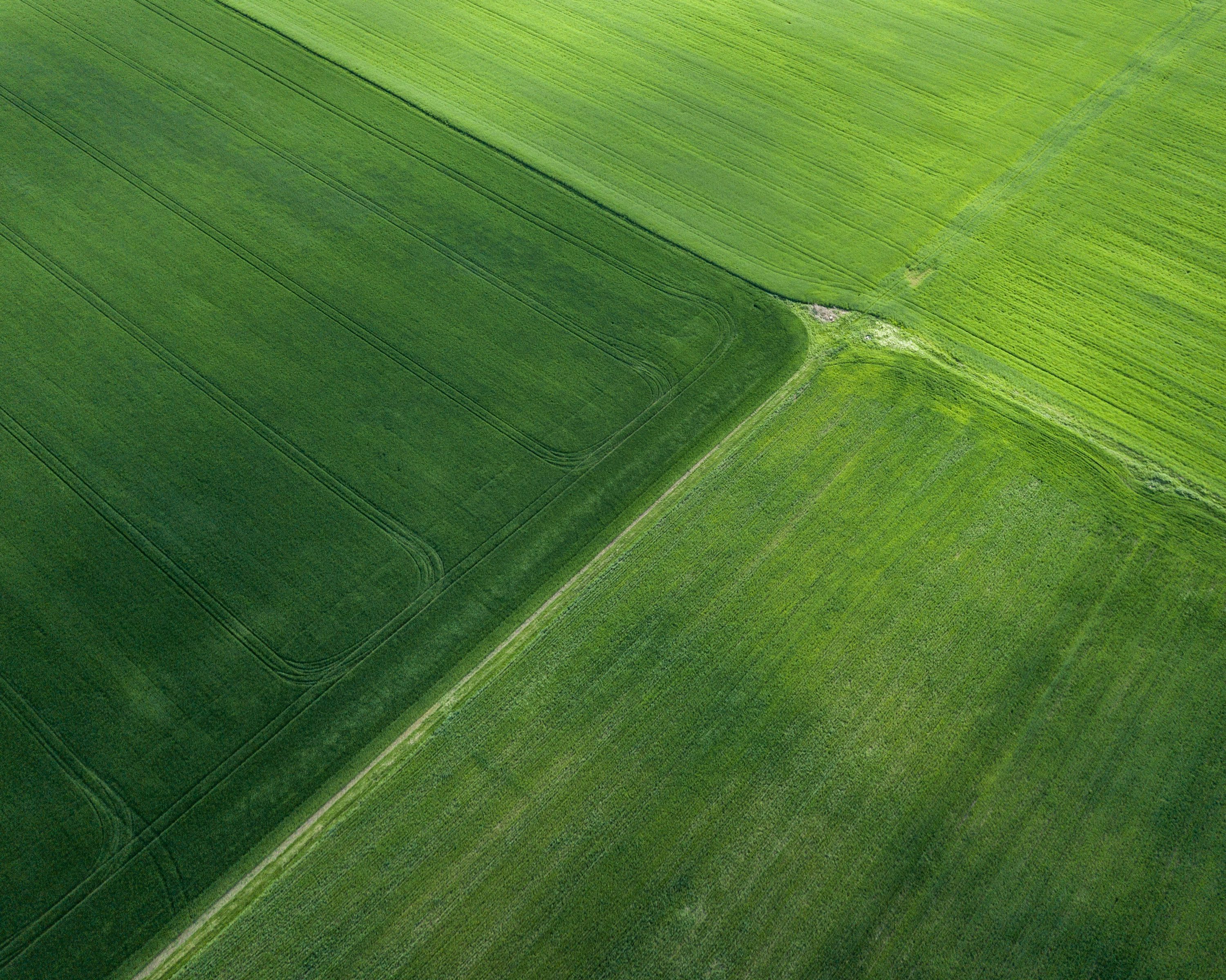 Vue aérienne de parcelles agricoles